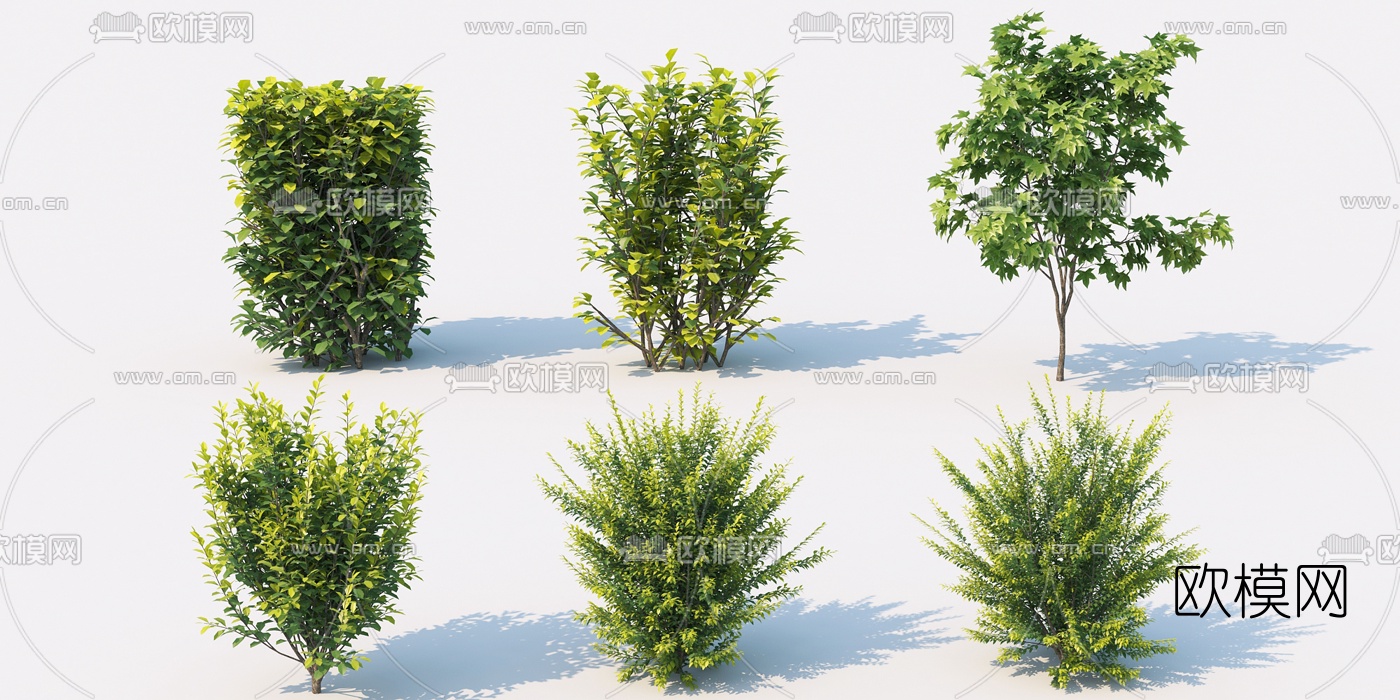 现代植物灌木3d模型