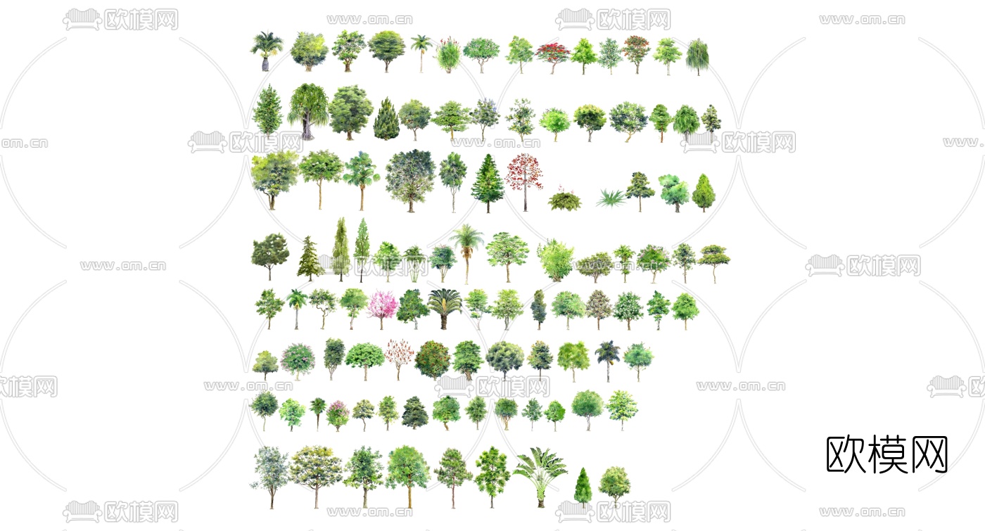 现代树木su模型下载（渲染图1）
