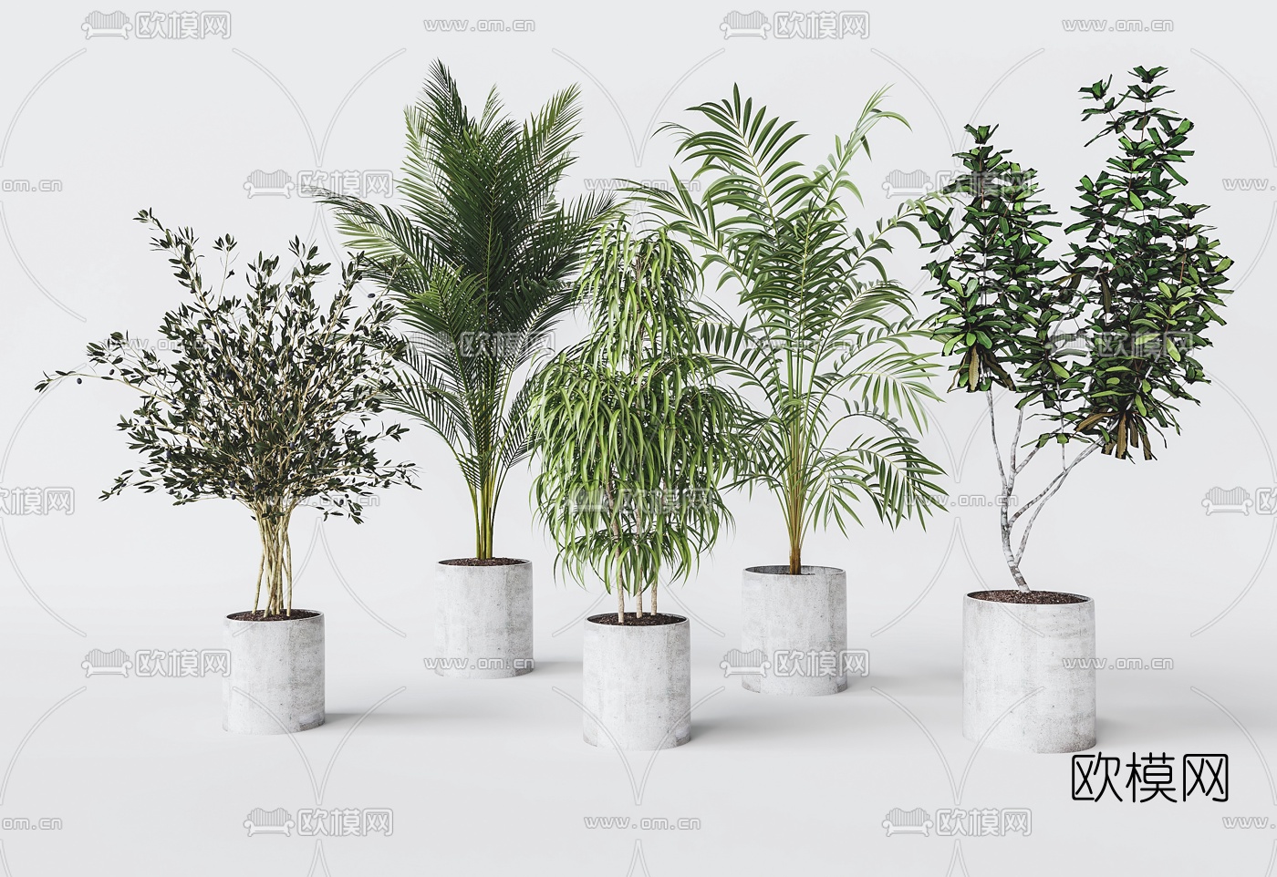 现代绿植盆栽3d模型下载