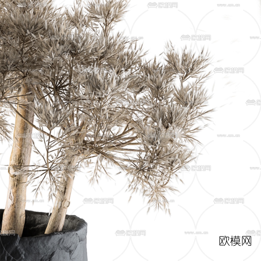 现代干花盆栽3d模型下载（渲染图2）