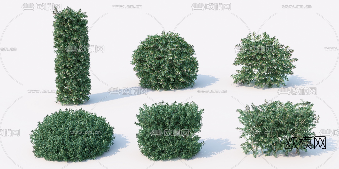 现代绿植绿篱灌木3d模型