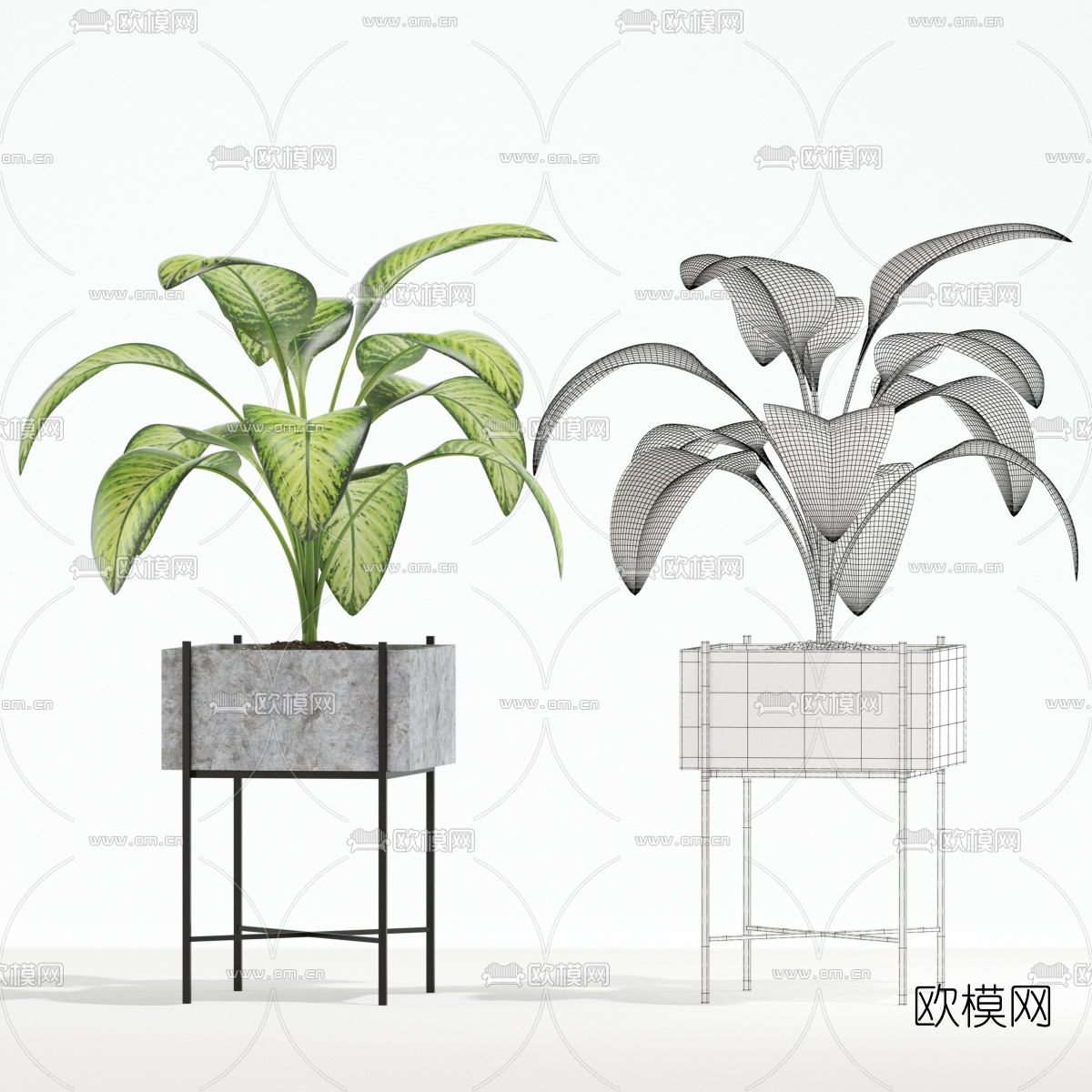 现代绿植盆栽3d模型下载（渲染图4）