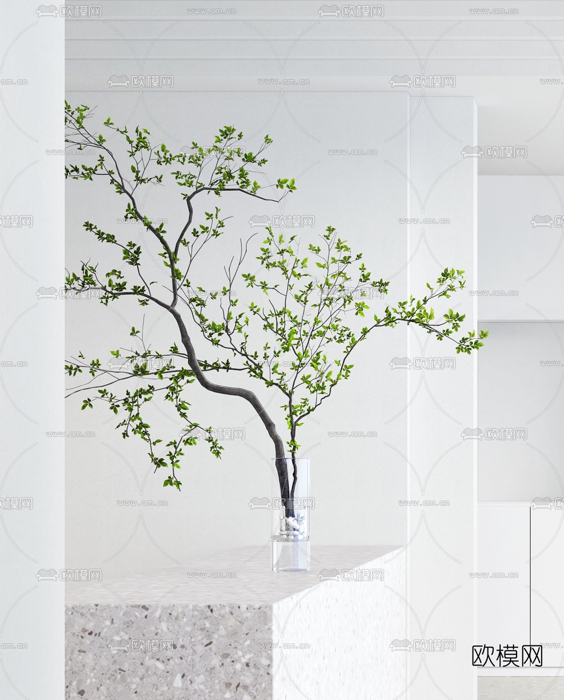 现代简约绿植花瓶3d模型下载（渲染图2）