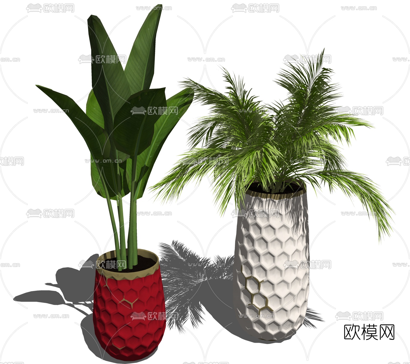 现代芭蕉绿植盆栽su模型