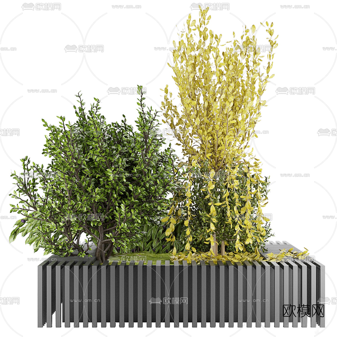现代绿植花坛3d模型下载（渲染图3）