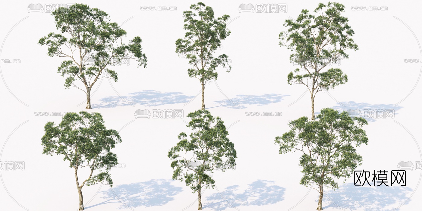 现代景观树行道树3d模型