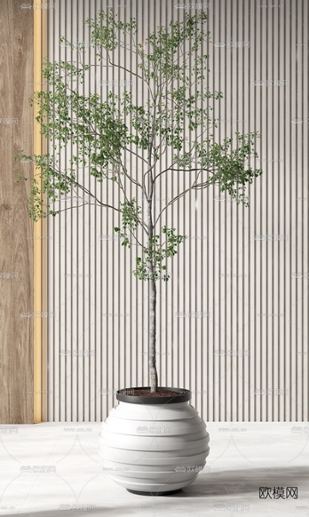 现代绿植盆栽3d模型下载(渲染图3)