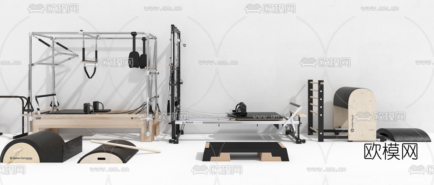 现代瑜伽球健身器材3d模型