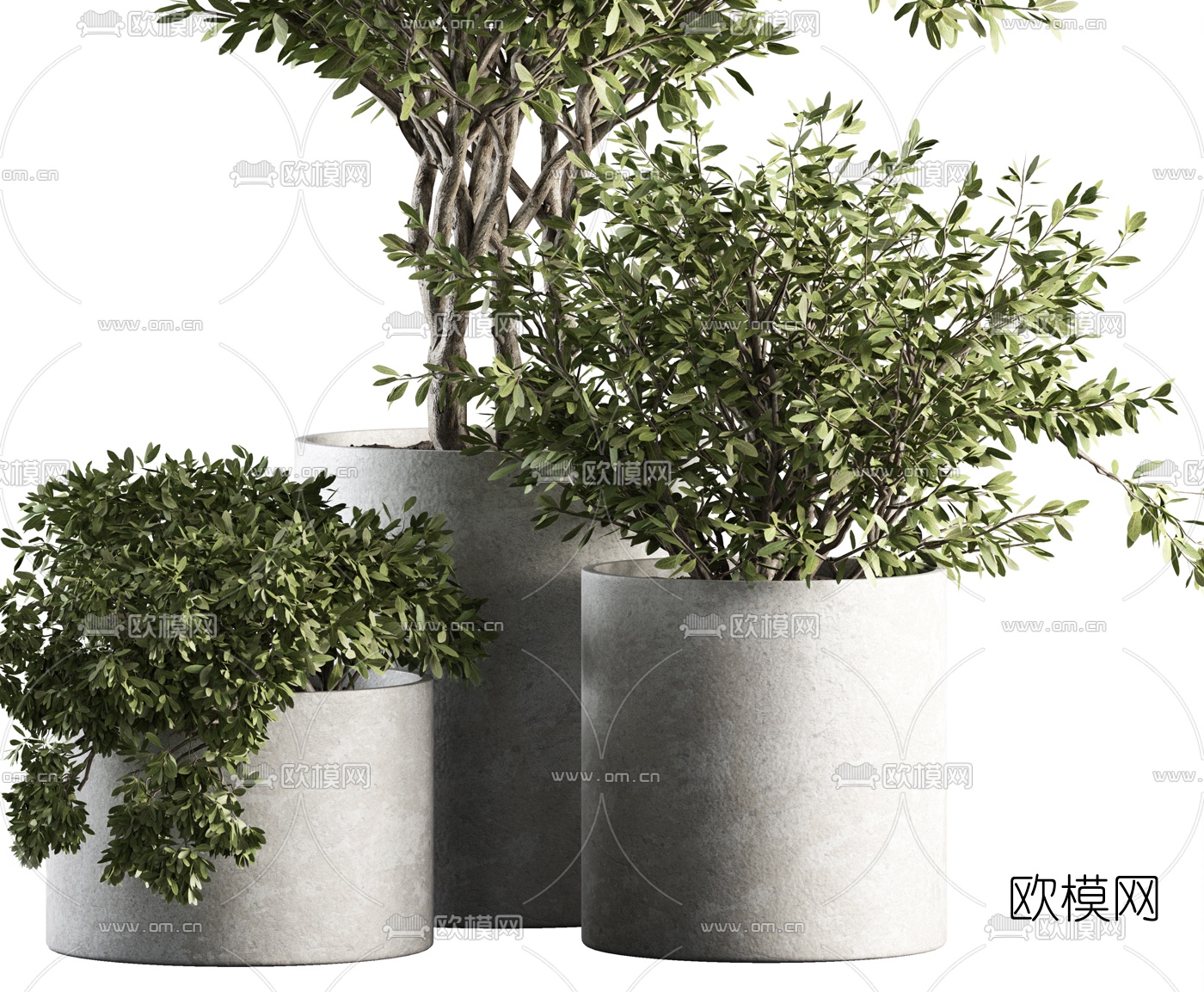 现代绿植盆栽3d模型下载（渲染图2）