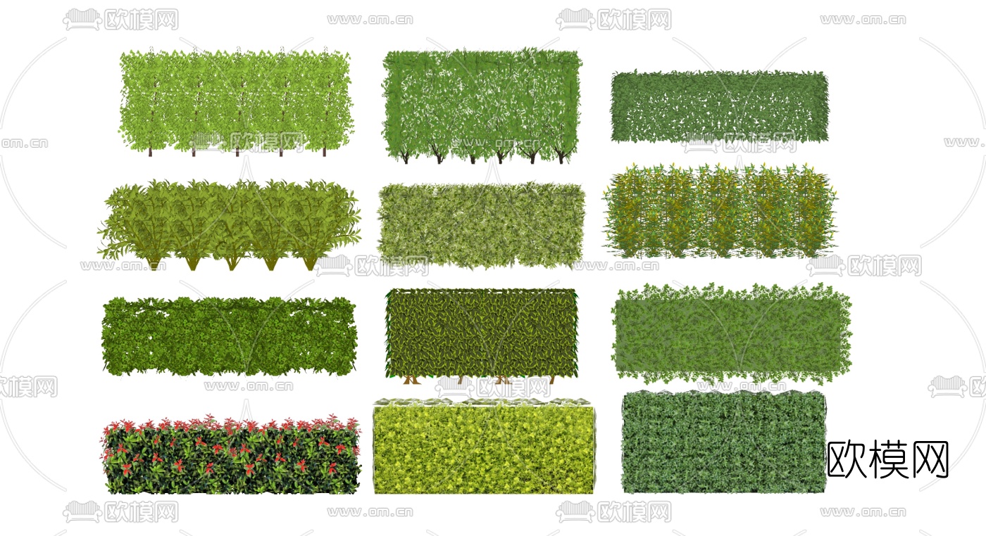 现代灌木绿篱墙su模型下载（渲染图1）