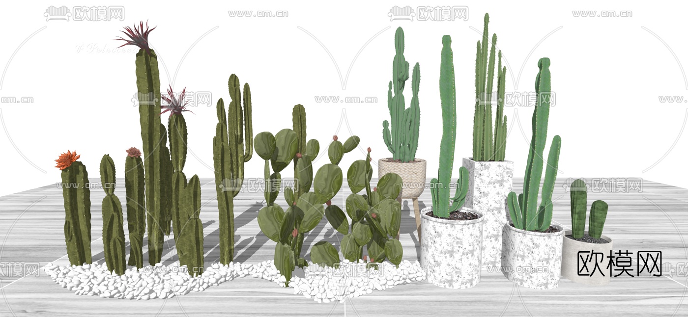 北欧仙人掌盆栽su模型下载