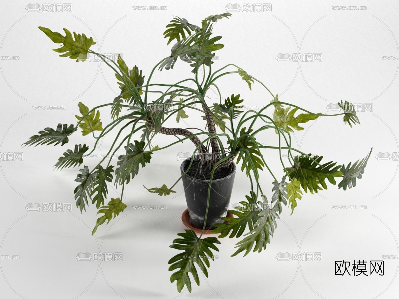 现代佛手蔓盆栽免费3d模型下载