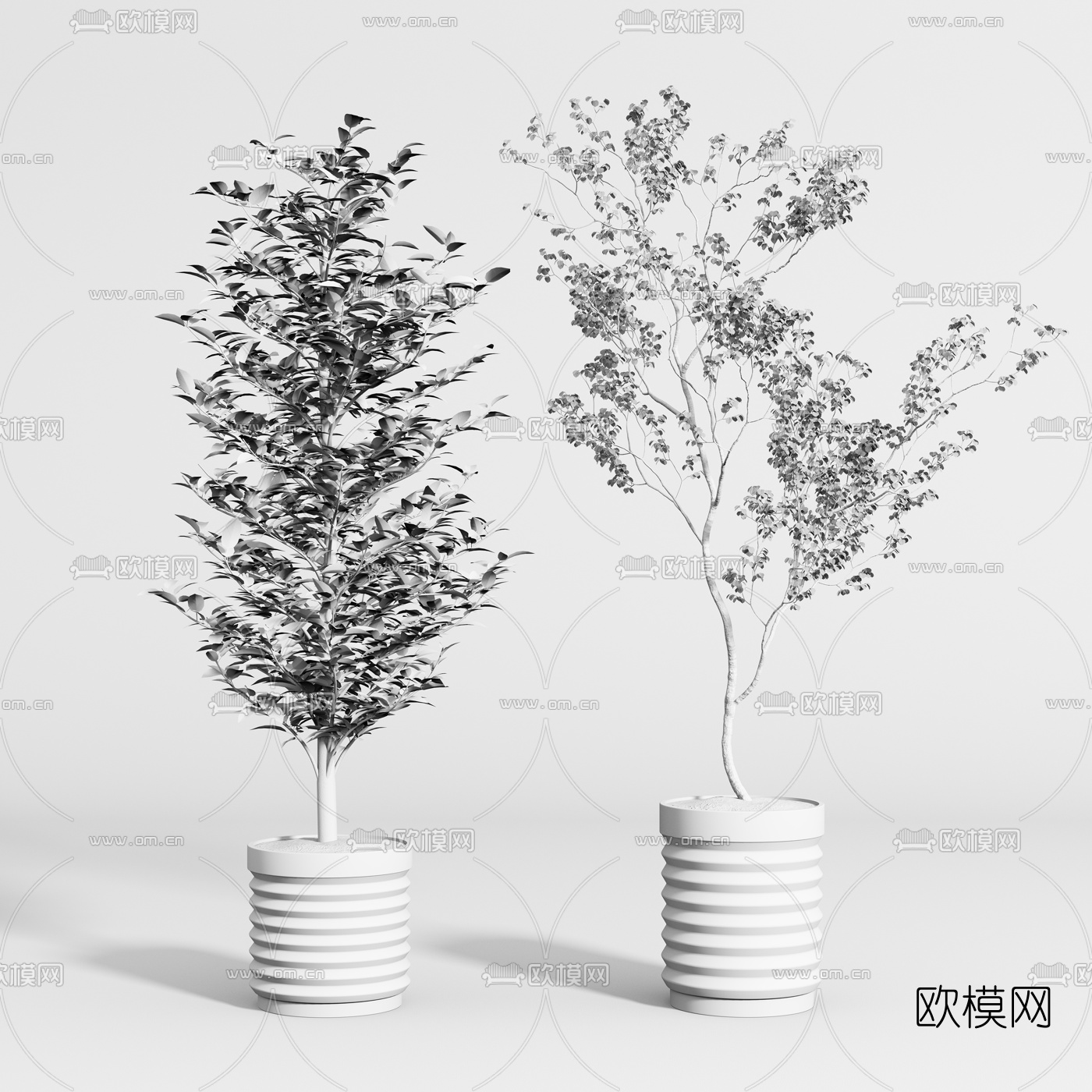现代植物盆栽盆景3d模型