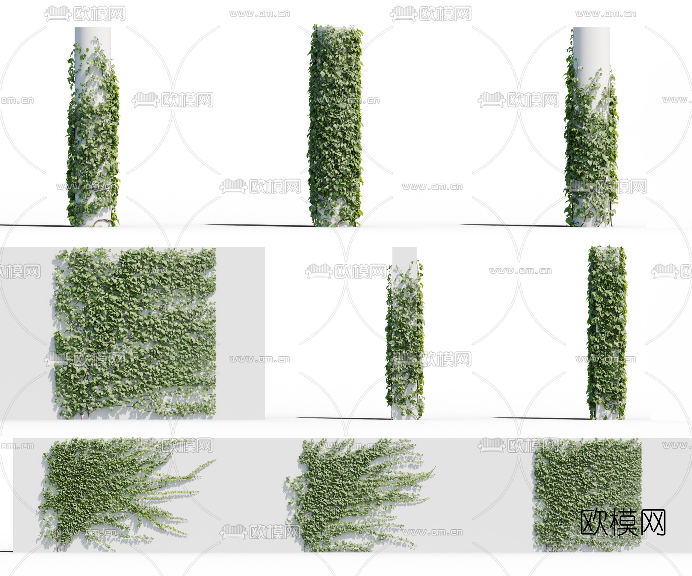 现代植物藤蔓3d模型