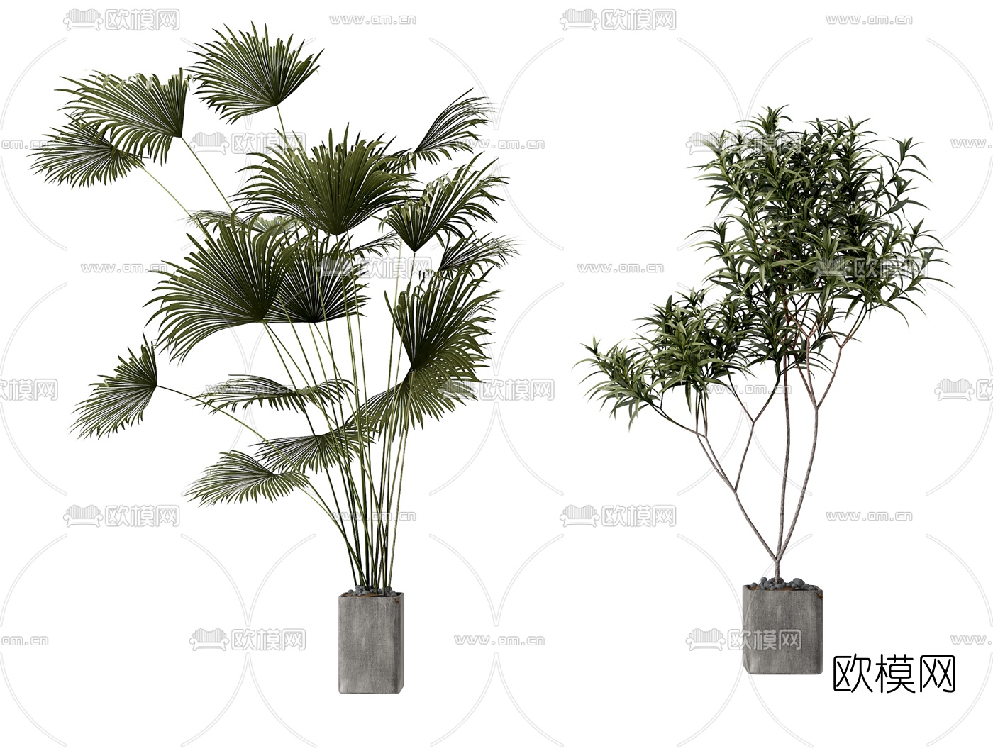现代绿植盆栽3d模型