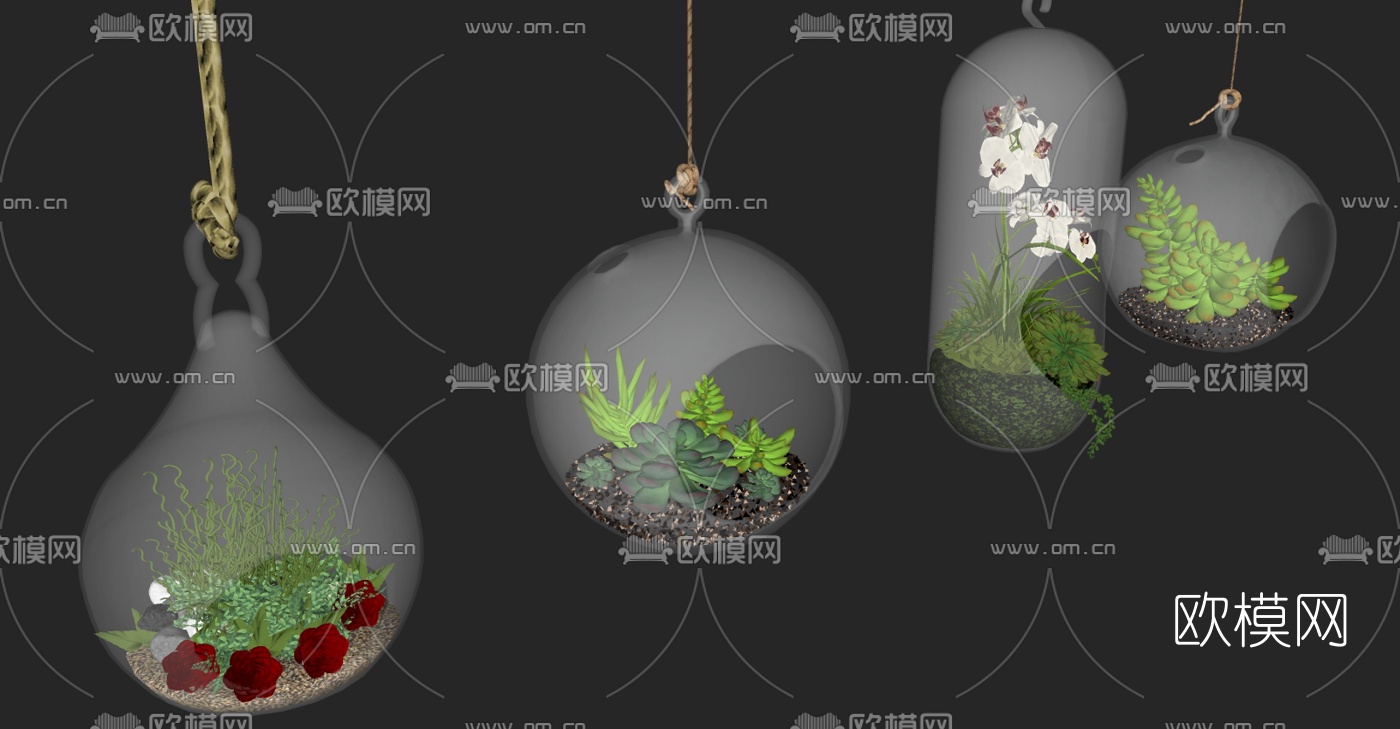 现代多肉悬挂盆栽su模型下载（渲染图2）