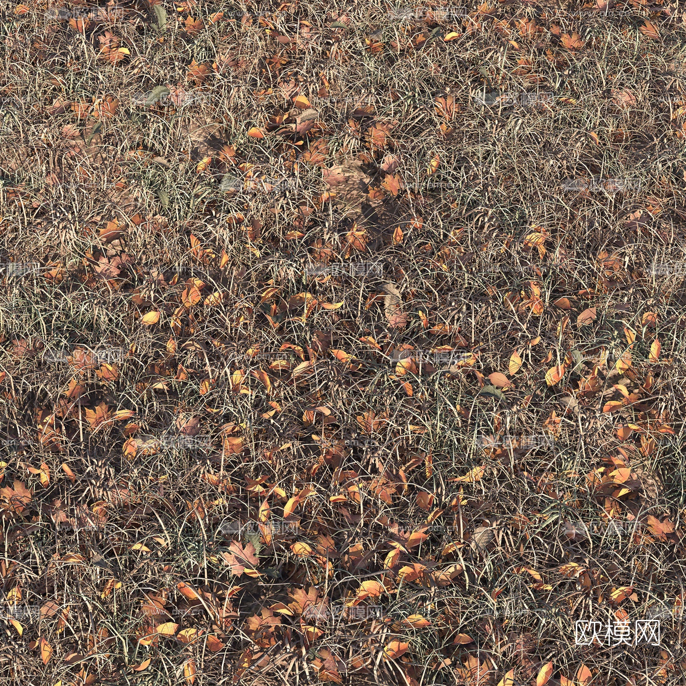 现代秋季落叶干草地3d模型下载（渲染图1）
