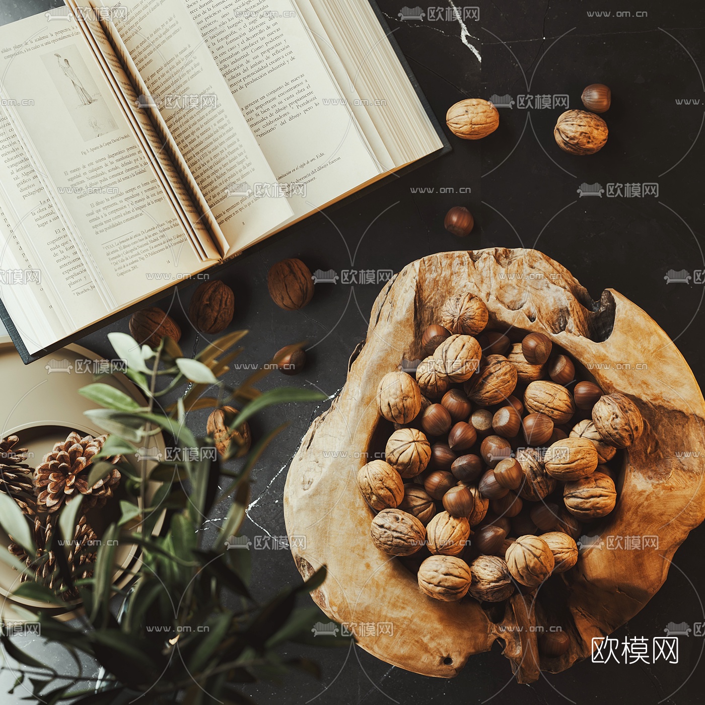 现代核桃坚果食物3d模型