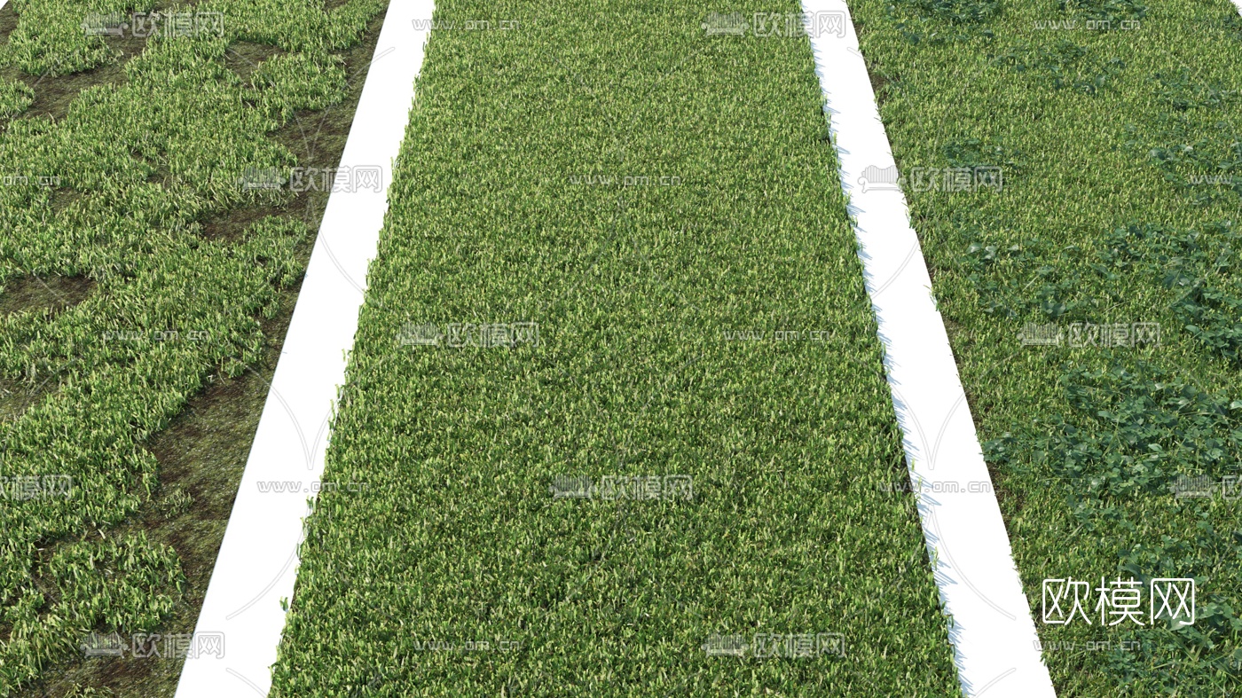 现代绿植草坪3d模型下载（渲染图2）