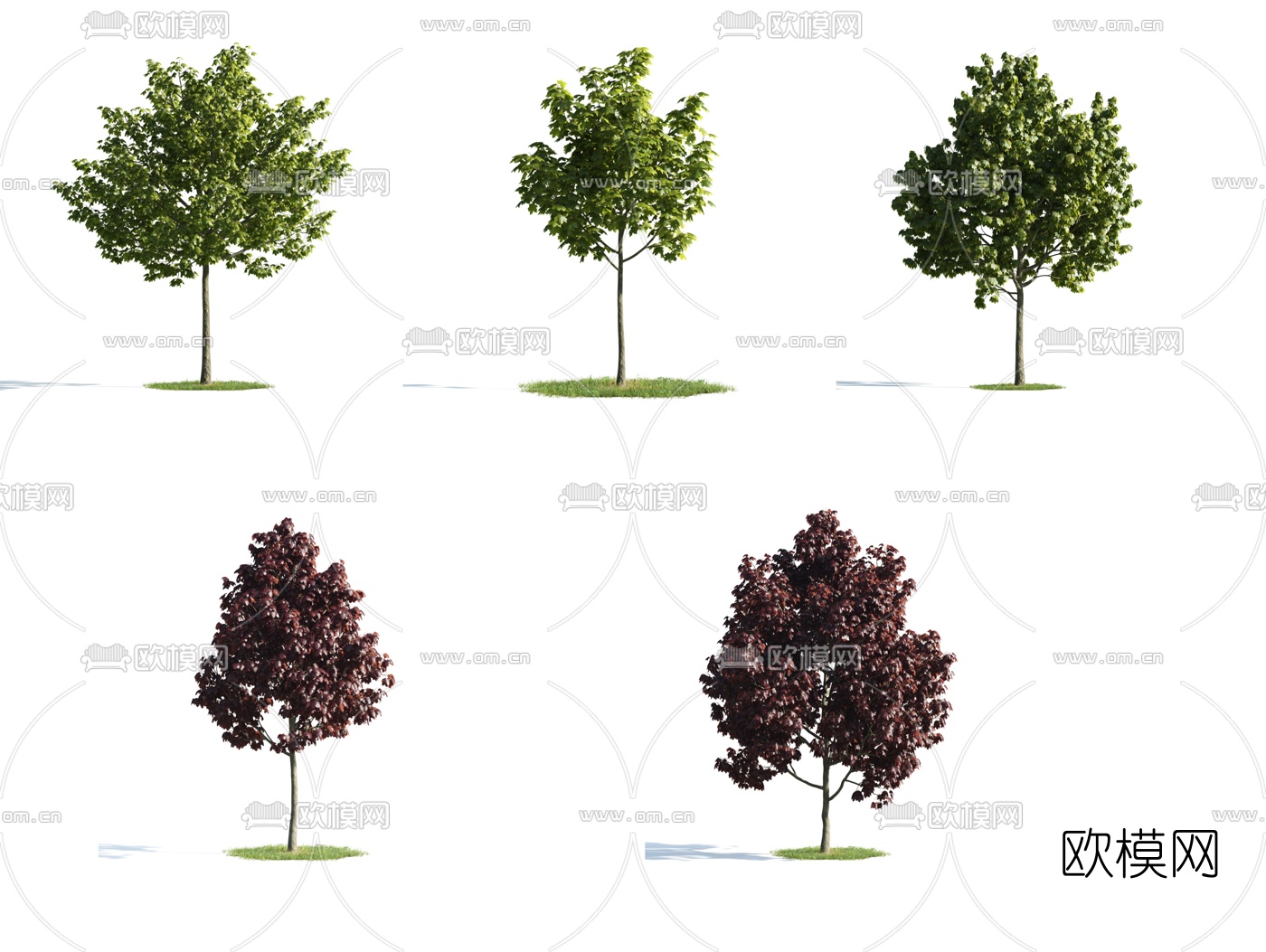 现代景观树行道树3d模型下载