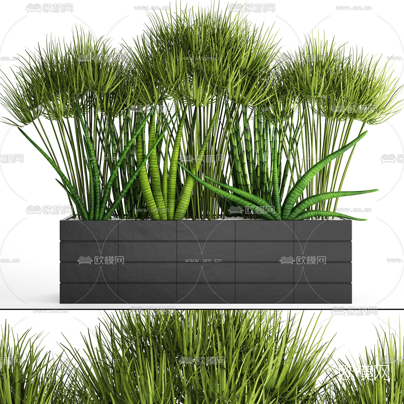 现代芦荟绿植盆栽3d模型下载