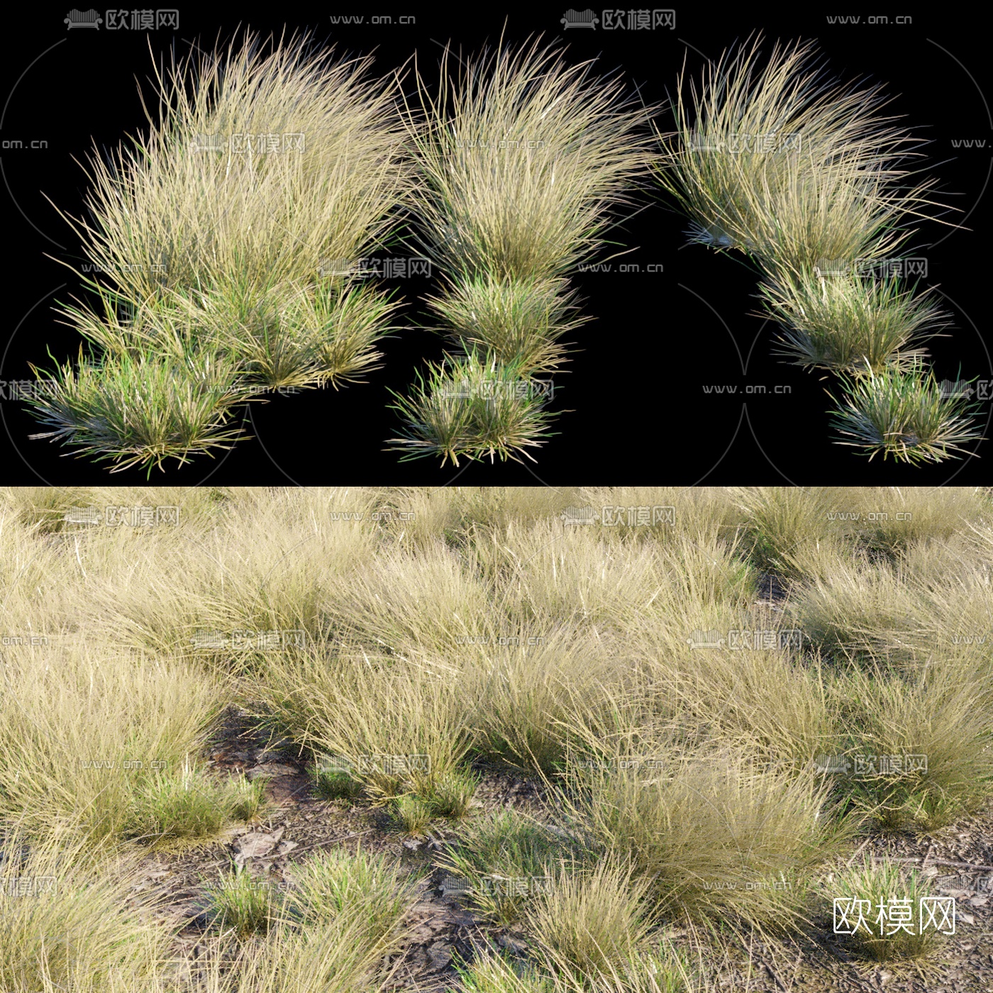 现代沙漠草地3d模型