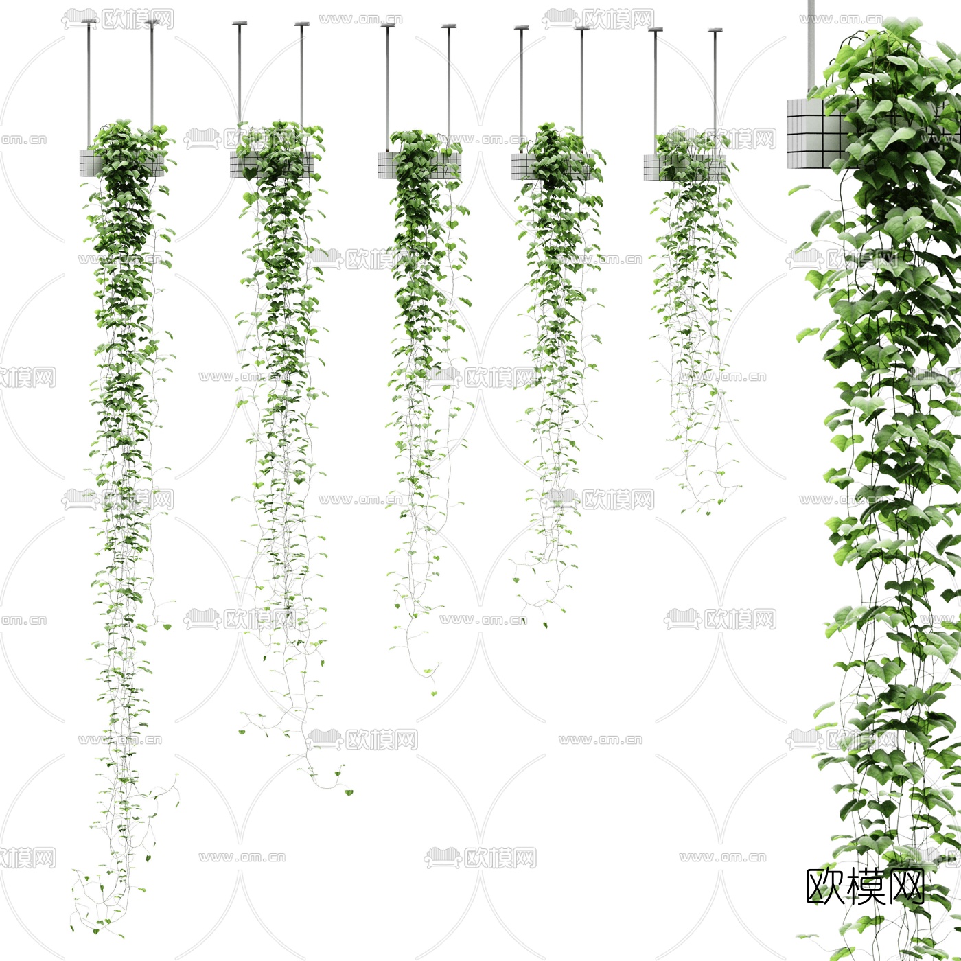 现代吊篮藤蔓3d模型下载
