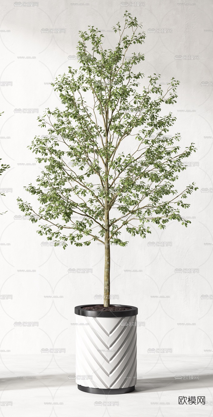 现代绿植盆栽3d模型