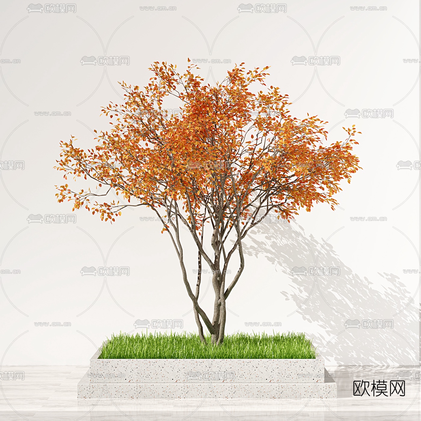 现代秋季树景观树3d模型