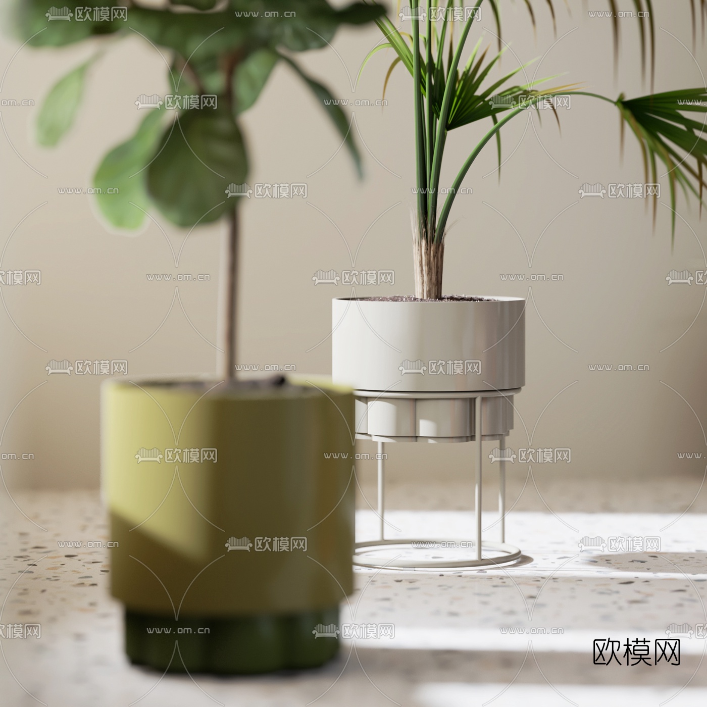 北欧绿植盆栽3d模型下载（渲染图4）