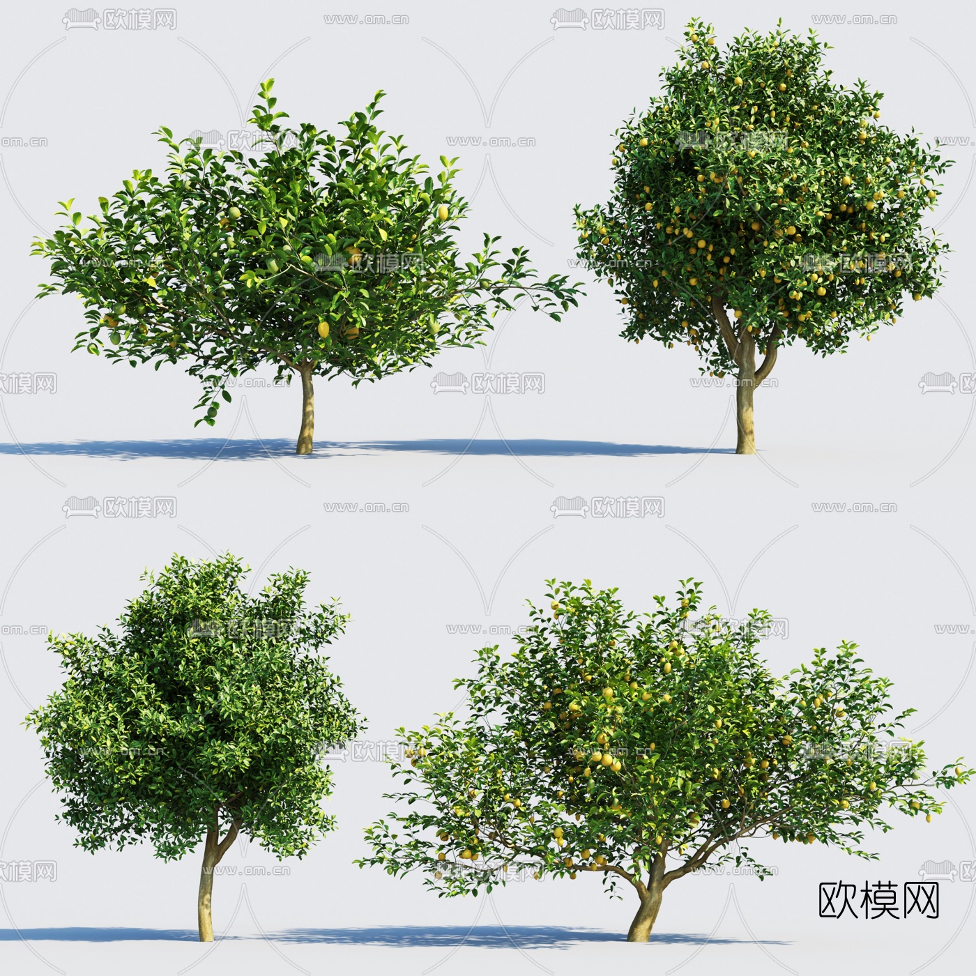现代柠檬树果树3d模型下载
