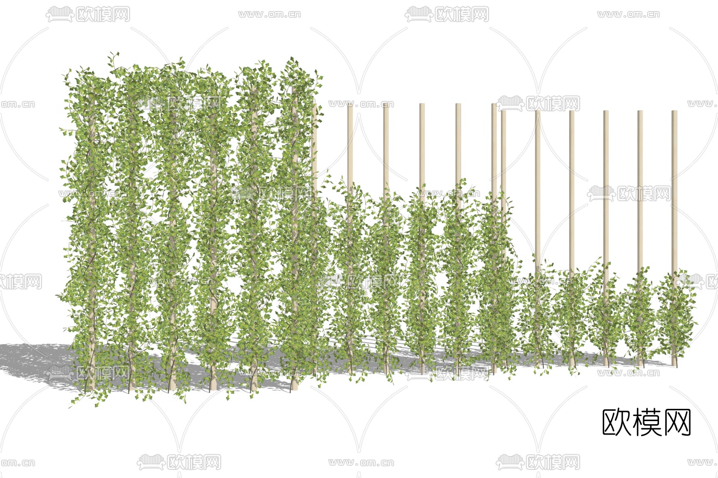 现代植物墙免费su模型下载