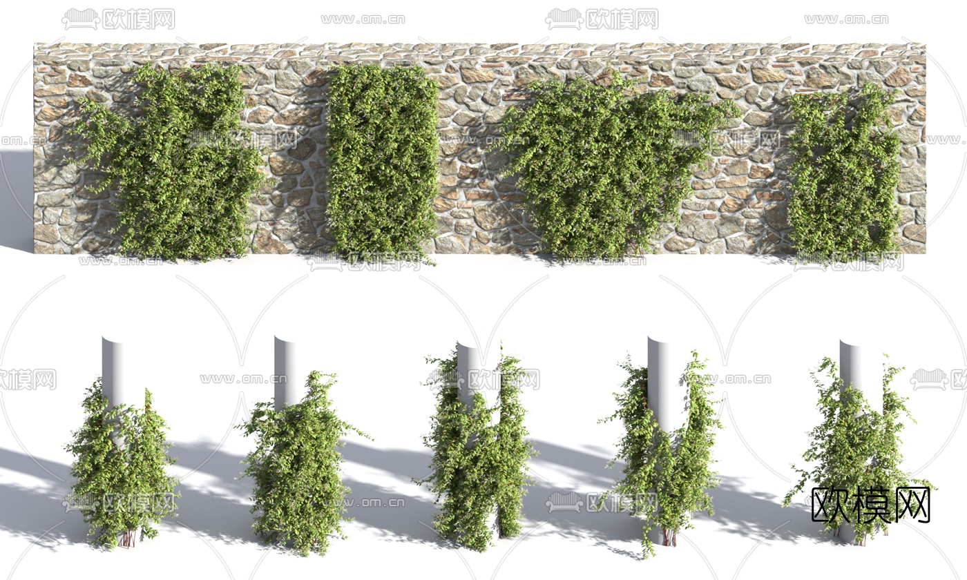 现代金银花藤蔓3d模型下载