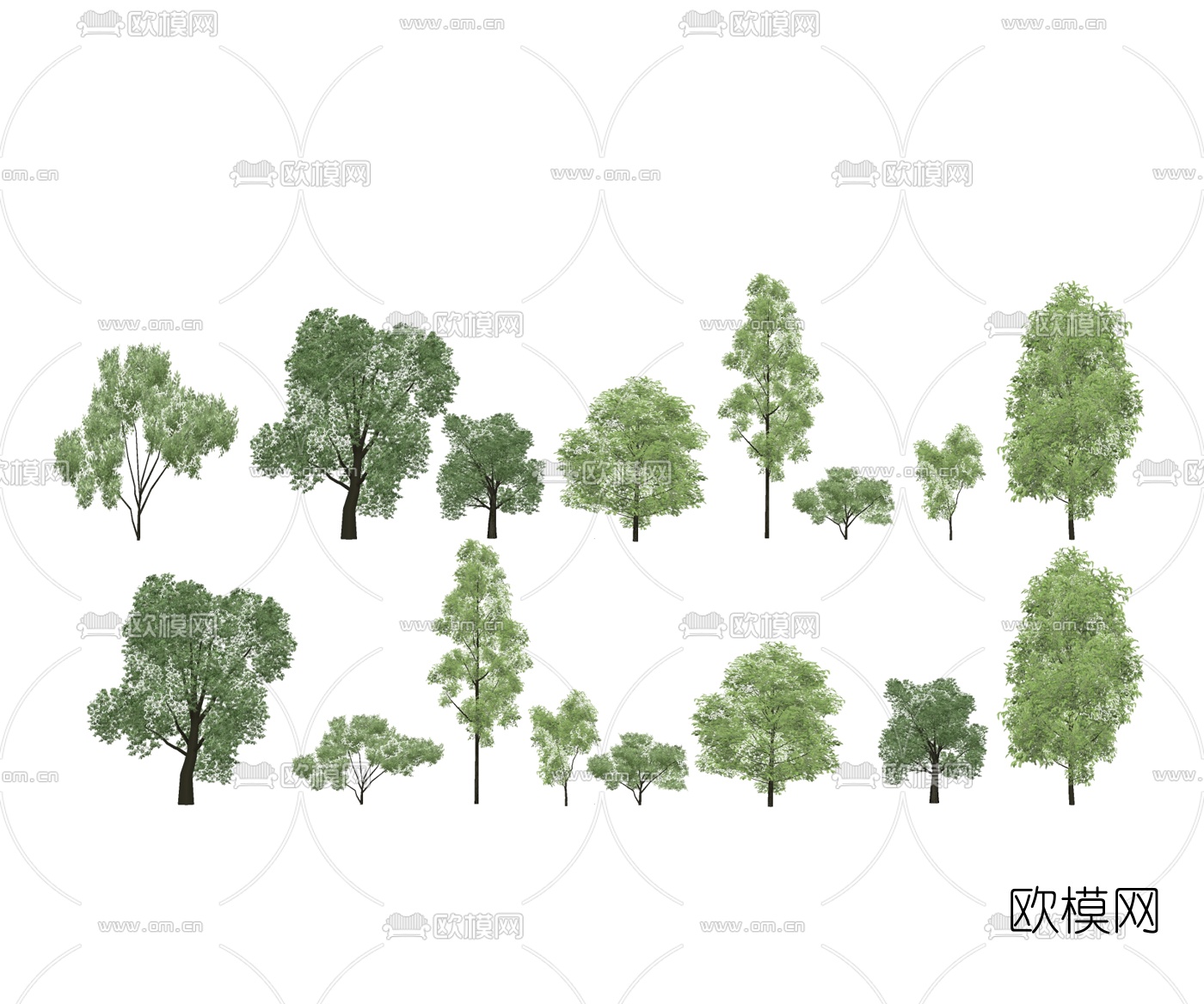 现代樟树水杉树su模型下载