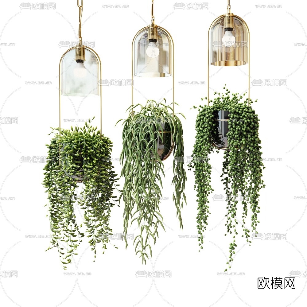 现代金属植物吊篮3d模型下载