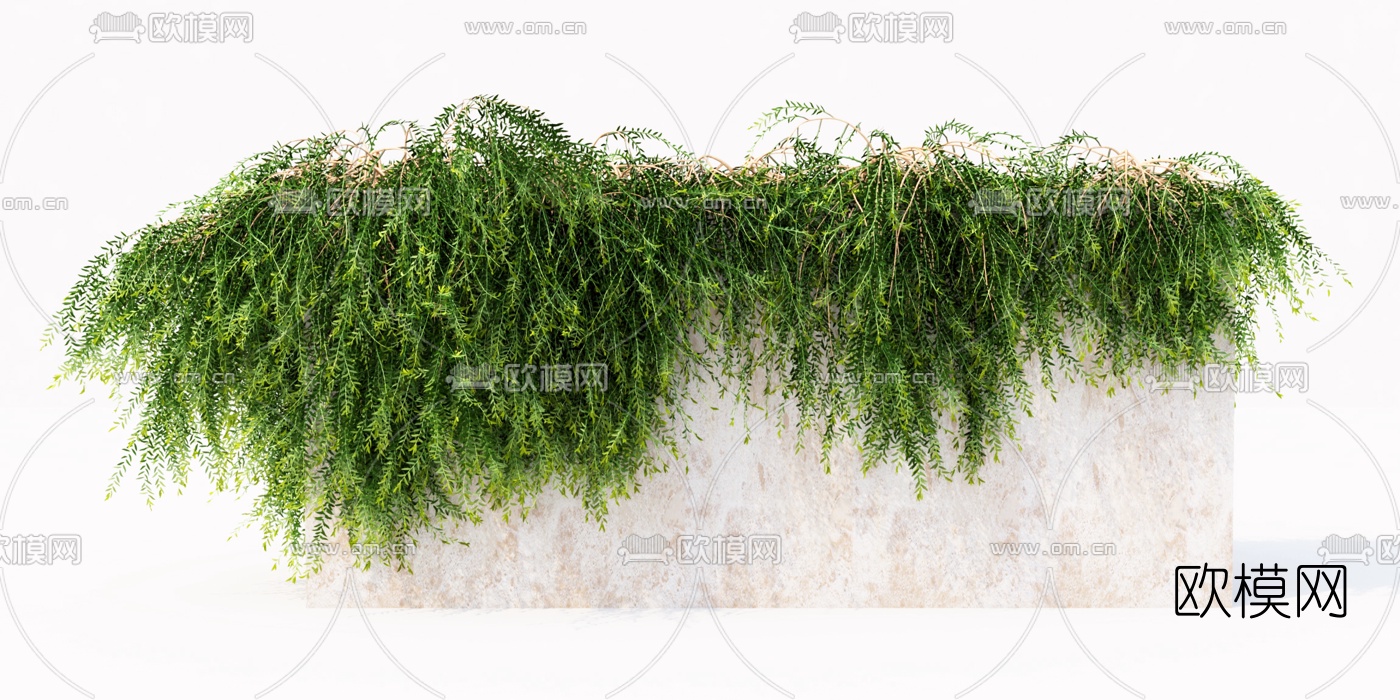 现代绿植藤蔓3d模型下载