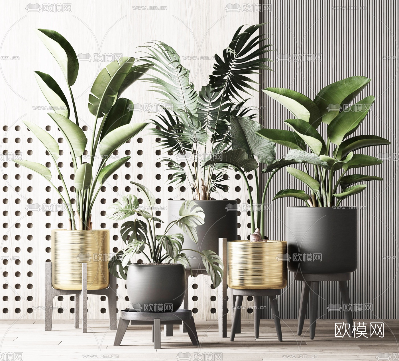 现代绿植盆栽d模型-免费3dmax模型库-欧模网