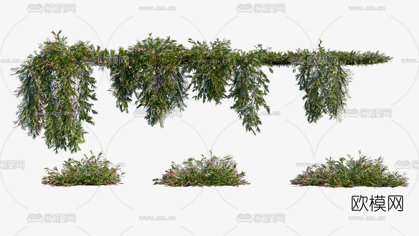 现代绿植藤蔓花草3d模型