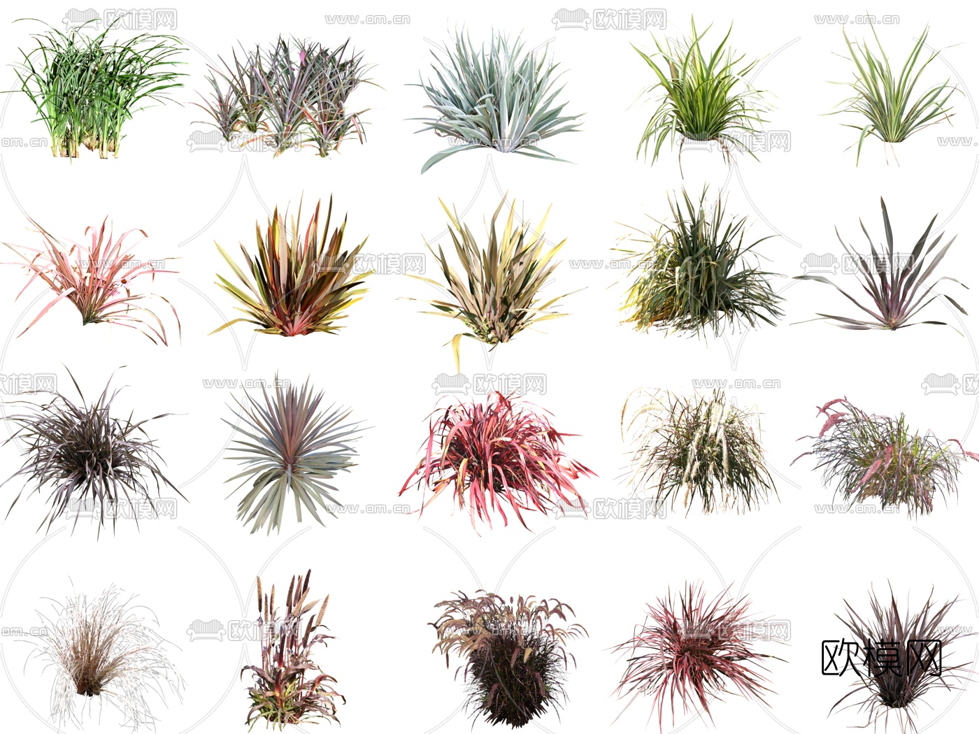 现代2d花草植物su模型下载（渲染图3）