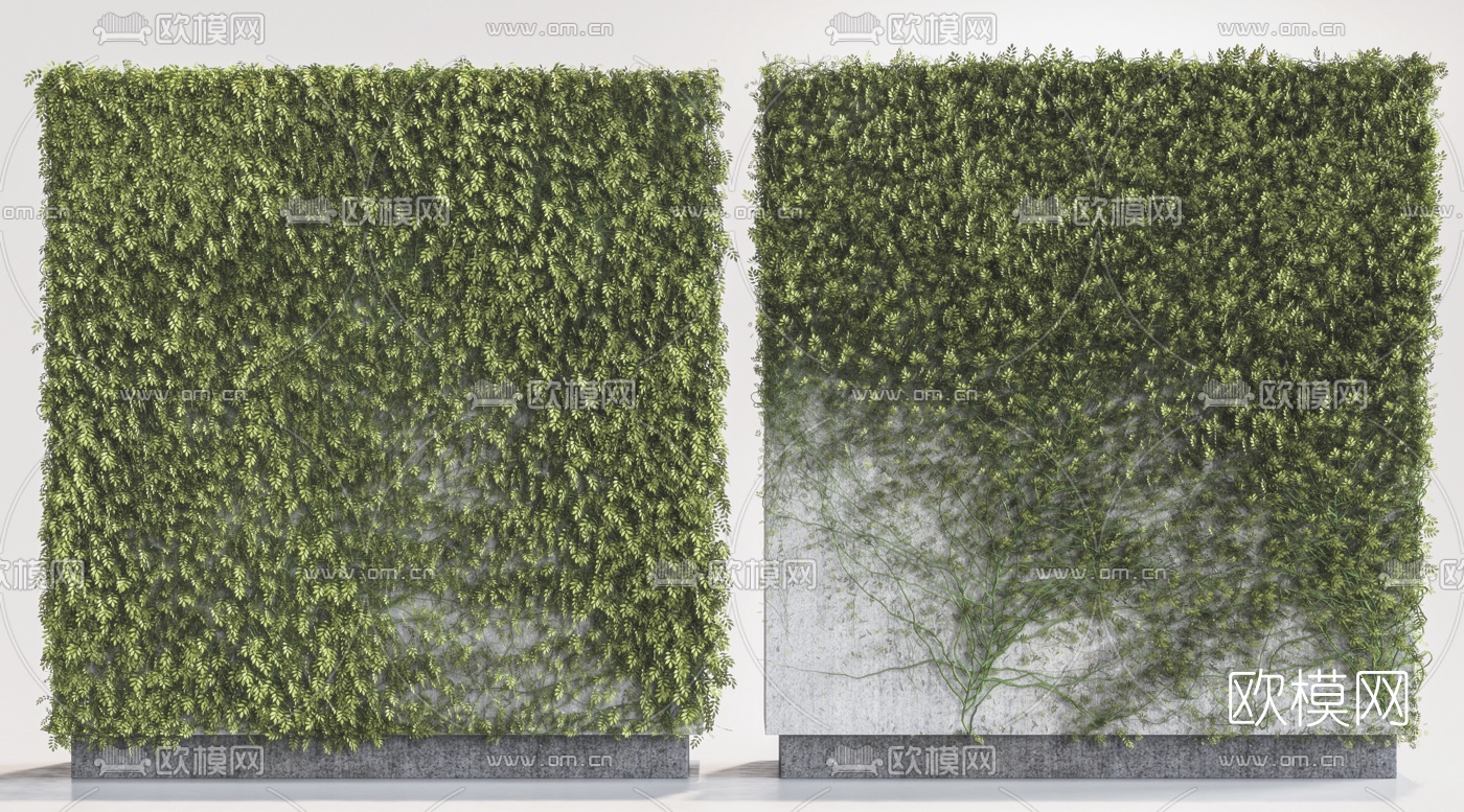 现代藤蔓植物墙3d模型下载（渲染图3）