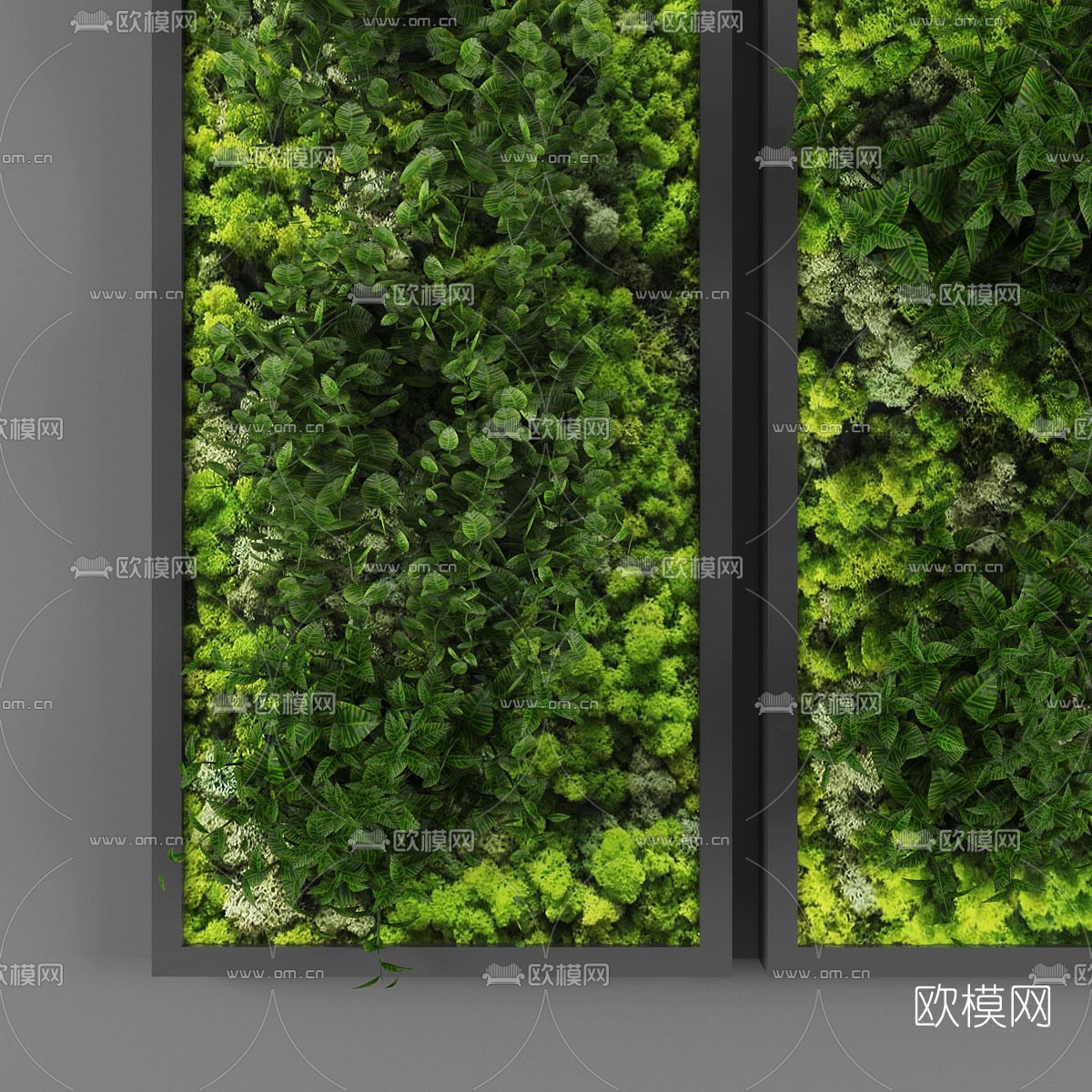 现代植物墙免费3d模型下载（渲染图2）