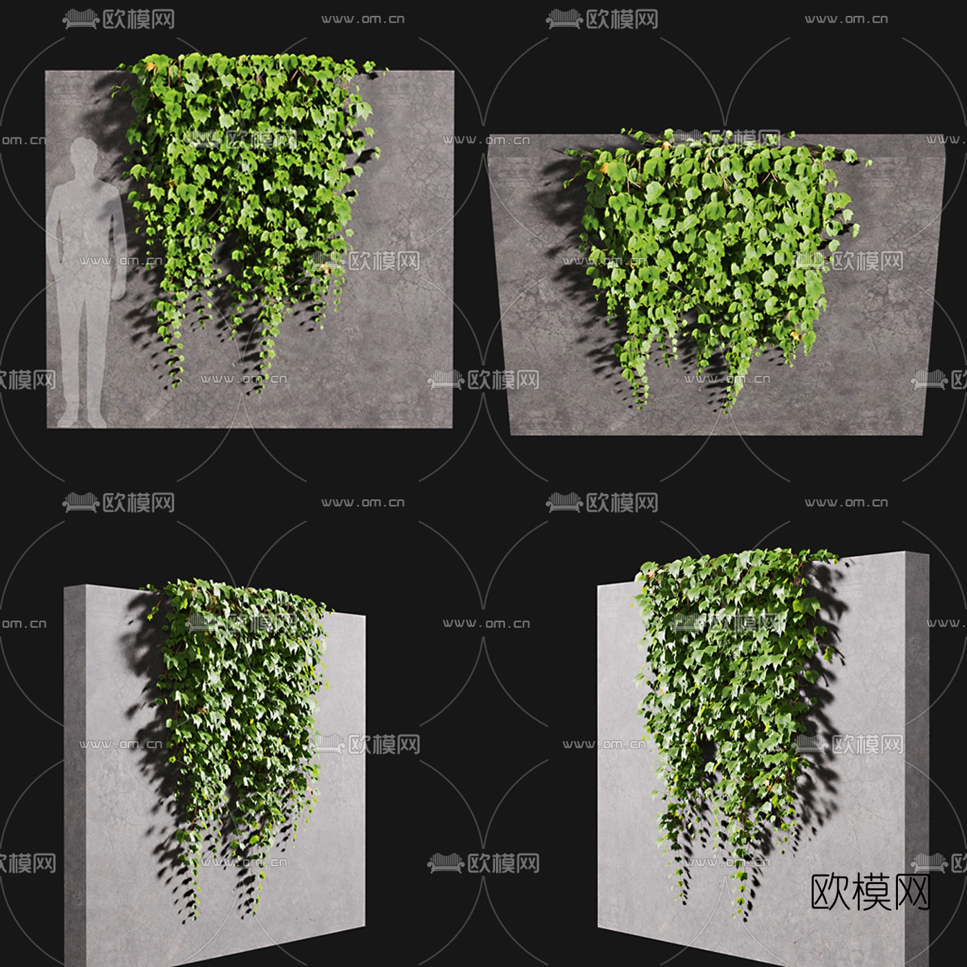 现代绿植藤蔓爬山虎3d模型下载