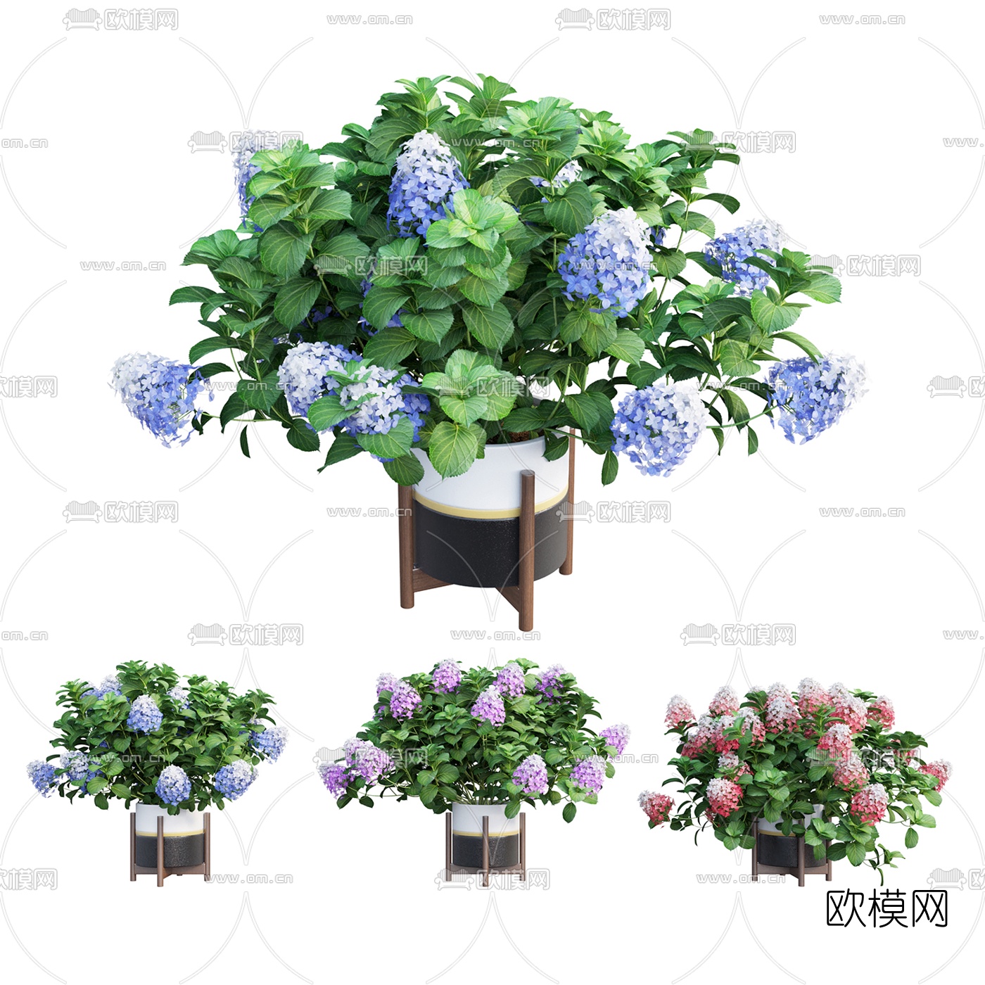 现代鲜花盆栽3d模型下载（渲染图3）