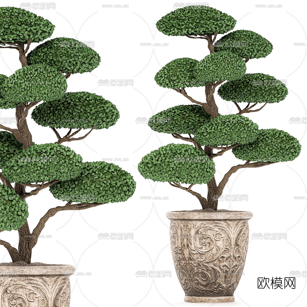 中式修剪植物盆栽3d模型下载（渲染图3）