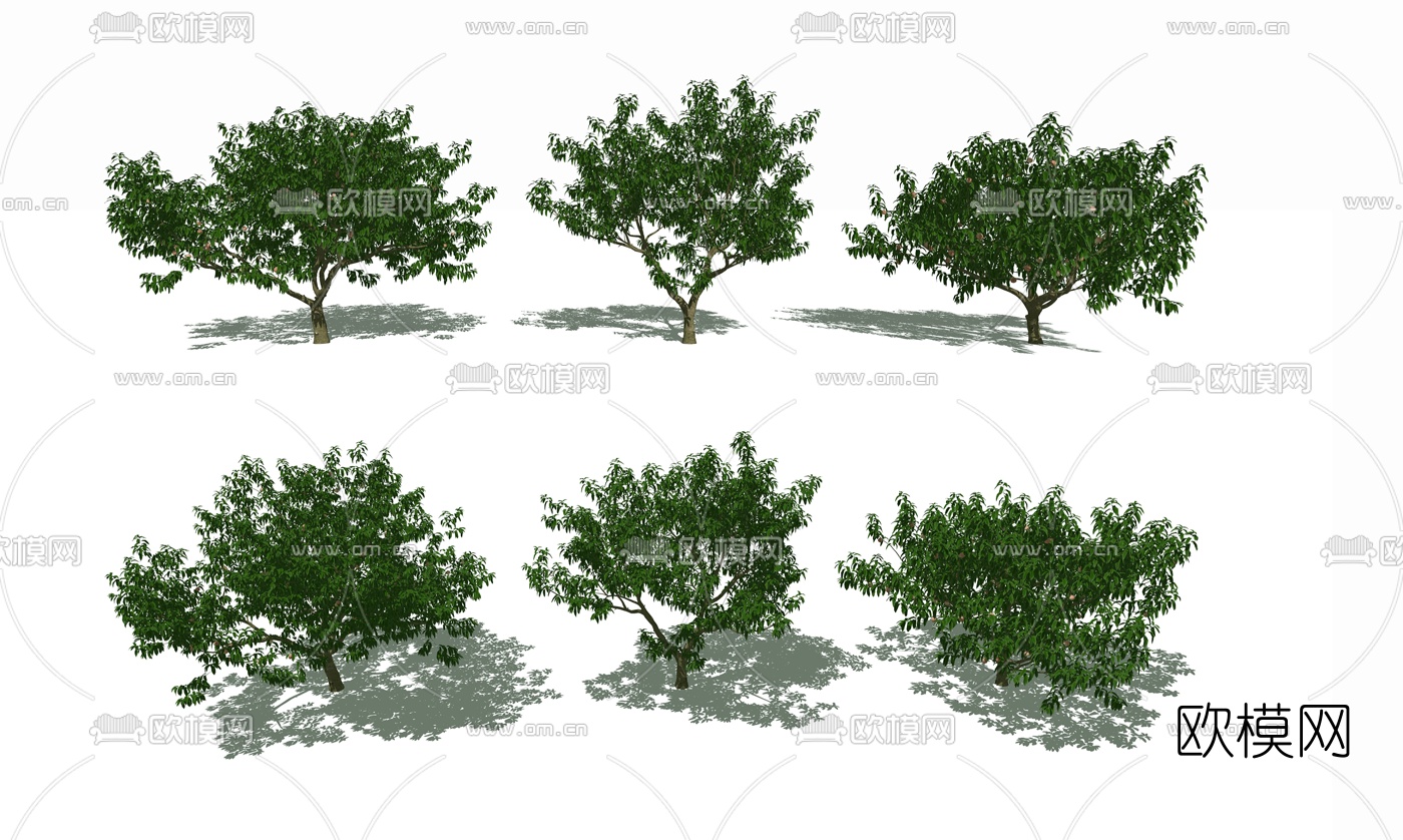 现代景观树su模型下载（渲染图2）