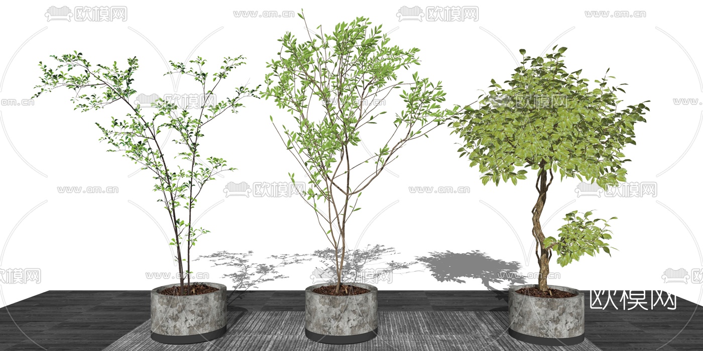 现代绿植盆栽su模型