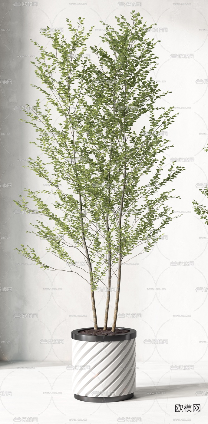 现代绿植盆栽3d模型