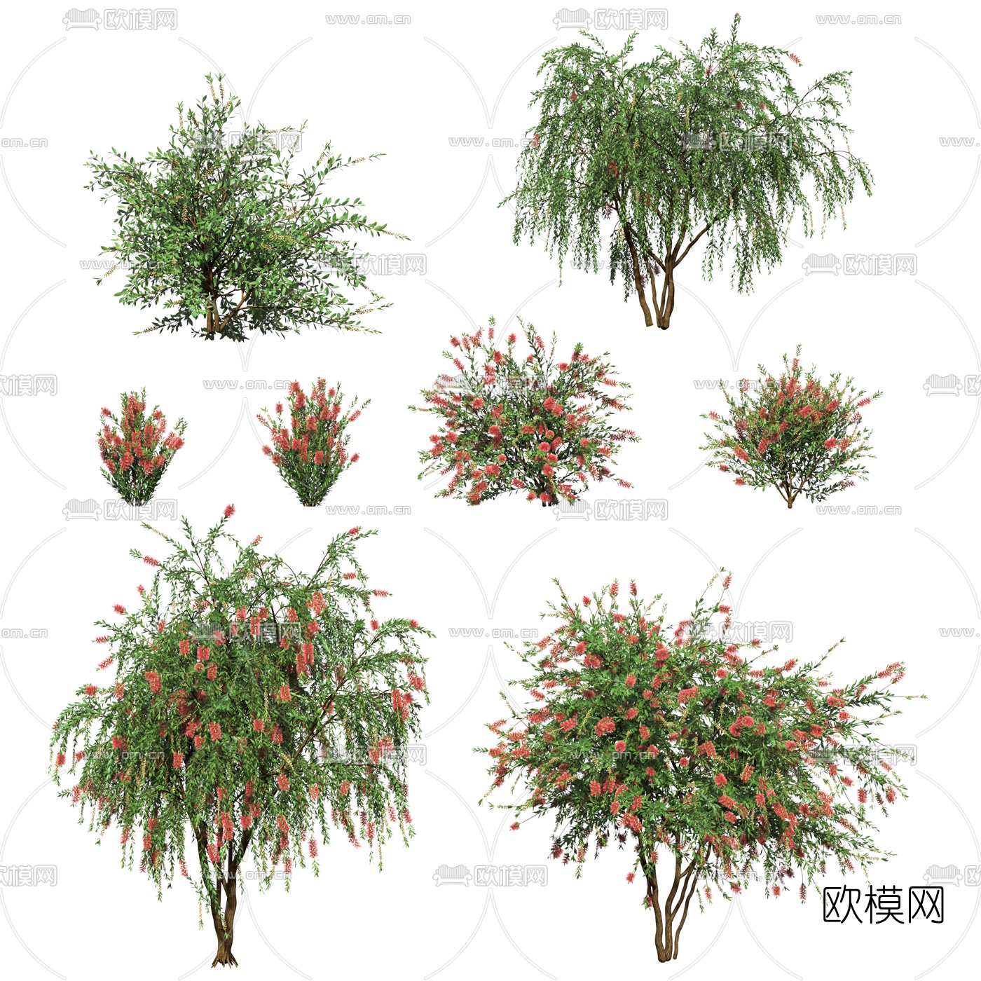 现代室外景观树木3d模型