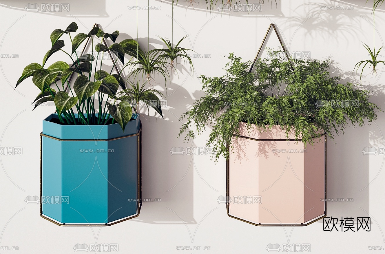现代挂墙绿植盆栽3d模型下载（渲染图2）