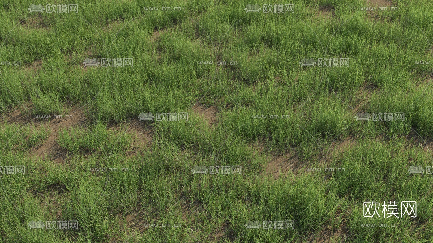 现代草地草坪3d模型下载（渲染图3）
